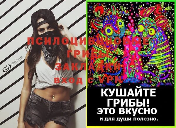 ГАЛЛЮЦИНОГЕННЫЕ ГРИБЫ Алексеевка
