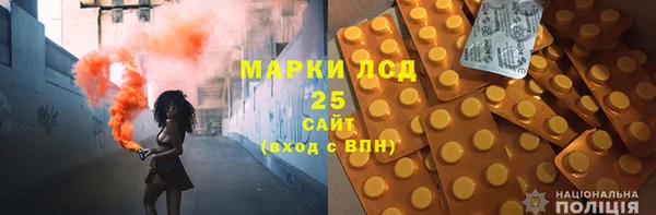 хмурый Абаза