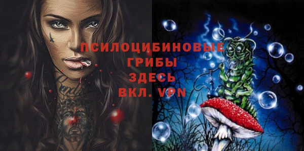 хмурый Абаза